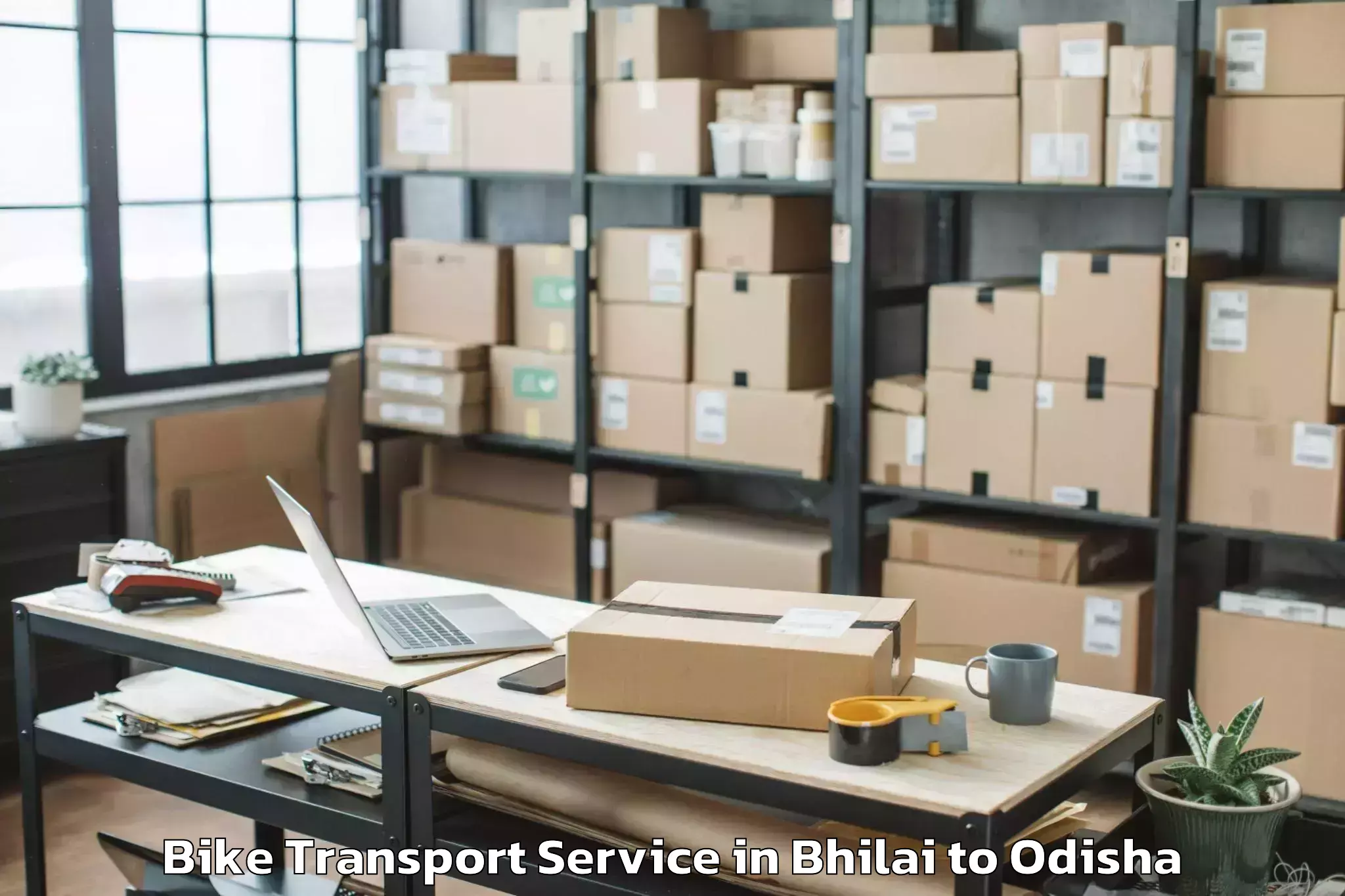 Top Bhilai to Delanga Bike Transport Available